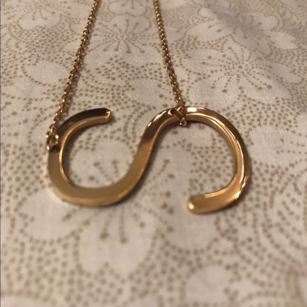 Fashionable “S” shaped necklace